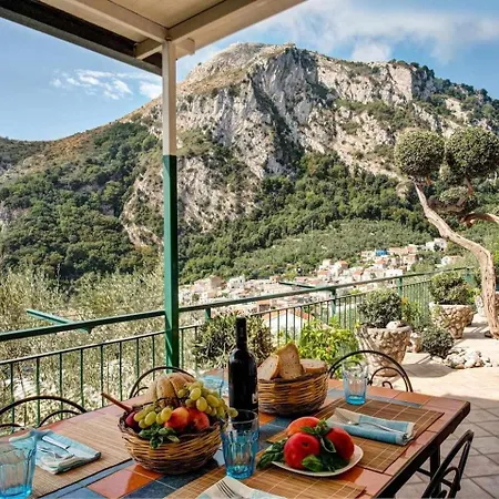 Ulivello Country Side With Sea View