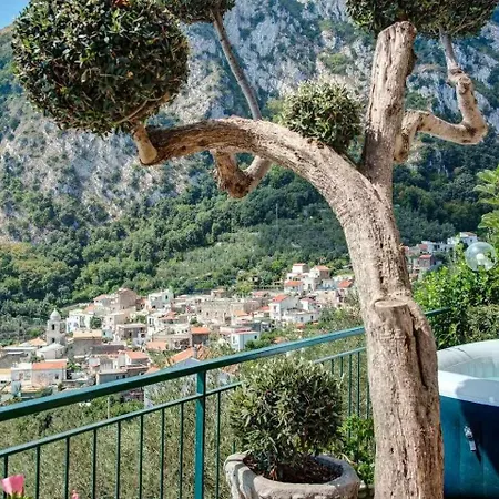 Ulivello Country Side With Sea View Apartment *